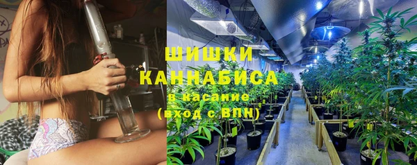 гидра Белоозёрский