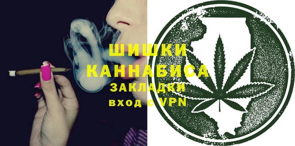 хмурый Богородск