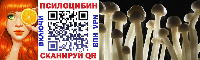 Псилоцибиновые грибы мицелий  Казань 