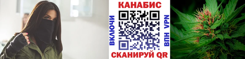 Каннабис сатива  цена   Казань 